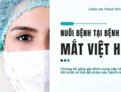 Dịch Vụ Nuôi Bệnh Tại Bệnh Viện Mắt Việt Hàn Tốt Nhất Thành Phố Hồ Chí Minh